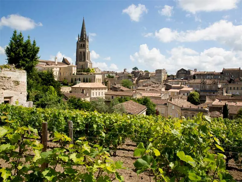 Tailored Wine Travel Itineraries | The Wine Consul
Unforgettable wine journeys itineraries curated by a certified sommelier travel agent. From Ontario gems to global vineyard escapes.
